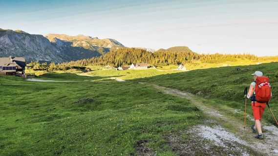 Die Almflächen der Sonnschienalm