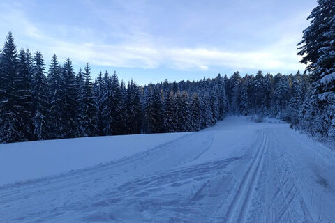 Schwarzenbachloipe nahe der Kalten Küche