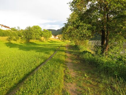 Donau bei Niederranna