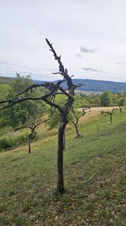 Zdjęcie z Boba Weishaar wzdłuż trasy