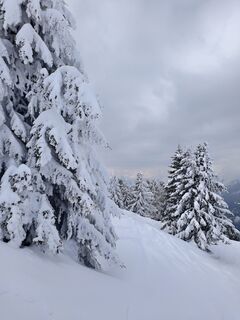 Photo de Andrea Treichl le long du parcours