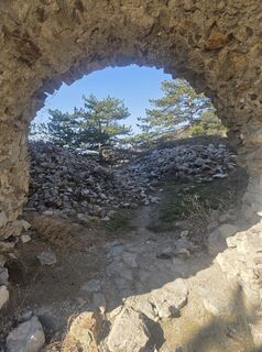 Fotografija s spletne strani Darija Forgač na poti