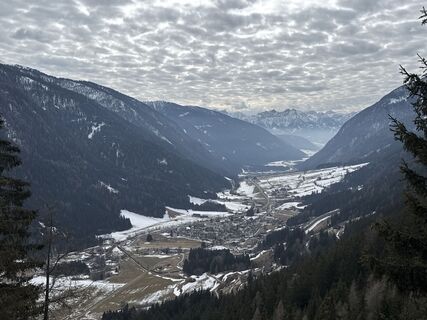 Foto von Grizzli entlang der Tour