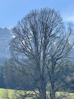 Foto da Hwidmoser lungo il tour