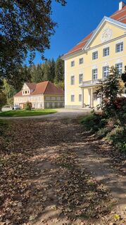 Foto von Rene Wippel entlang der Tour