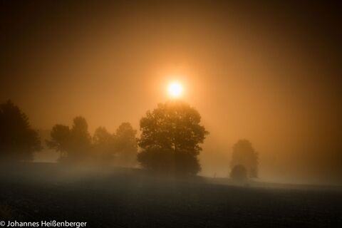 Landschaft im Nebel
