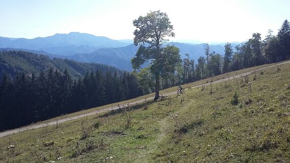 steile Auffahrt