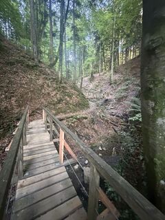 Photo de Nico ?️ le long du parcours