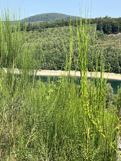 Fotografia z richie2 na trase