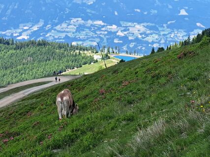 Fotografie de la Harrie Nijhuis de-a lungul turului