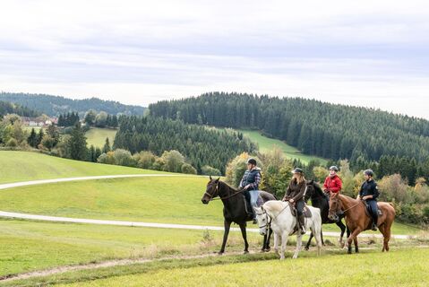 WanderreitenPferdereichHerbstGruppe02_PferdereichMuehlviertlerAlmErber.jpg