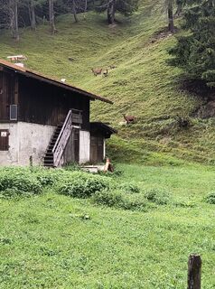 Foto von Matthias Klein 2 entlang der Tour