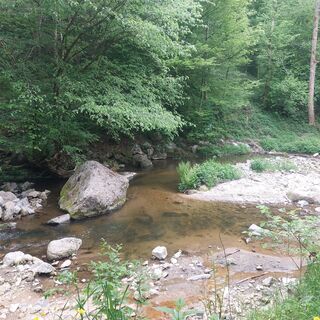 Photo de Ursula selinger le long du parcours
