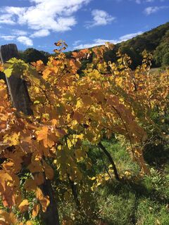 Fotografia z Robert Kremlicka na trase