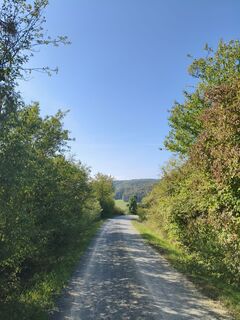 Photo de Fredi Oppel le long du parcours