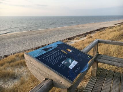 Infotafel zum Walschutzgebiet am Lister Weststrand