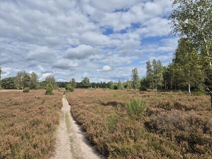 Photo de Frellie le long du parcours