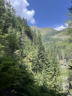 Foto von Marieke entlang der Tour