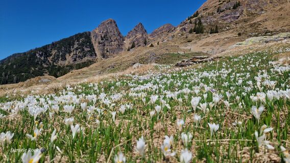 Zdjęcie z Daniel (Rustico) wzdłuż trasy