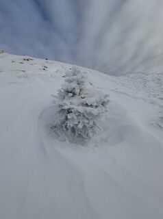 Foto de Günther Forsthuber a lo largo del recorrido