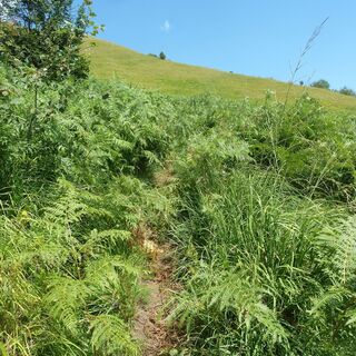 Weg CAI 986 - Landschaft