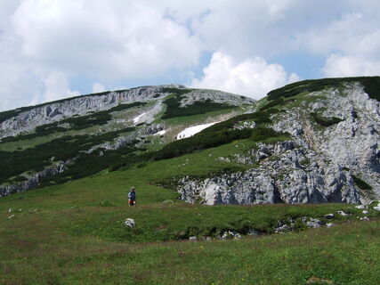 Trenchtling / Edelweißwiese