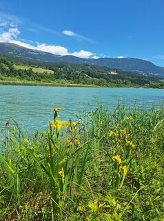 Fotografia z Dagmar Hofer na trase