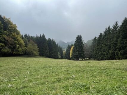 Photo de gabriel bardon le long du parcours