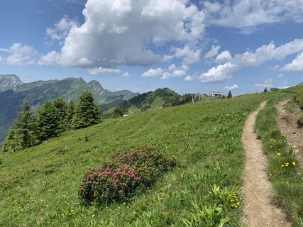 Foto von Koen De Wit entlang der Tour
