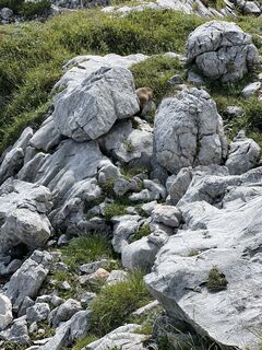Fotografie z Uwe Carstensen na trase