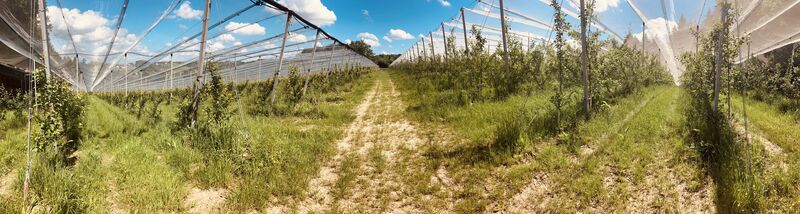 Foto von Robert Gerard entlang der Tour