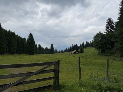 Pfarreben