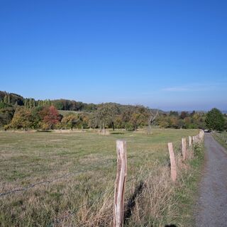 Rosenauwiesen