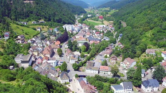 Blick vom Schlossberg Richtung Gutach