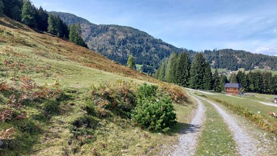 Foto von Annemarie Kolbenbauer entlang der Tour