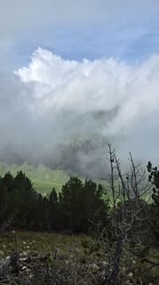 Fotografija s spletne strani Andreas Wagner 12 na poti