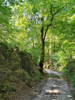 Foto von Chris Schöbben entlang der Tour