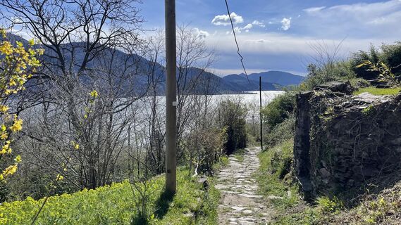 Fotografija s spletne strani Lis Malzach na poti
