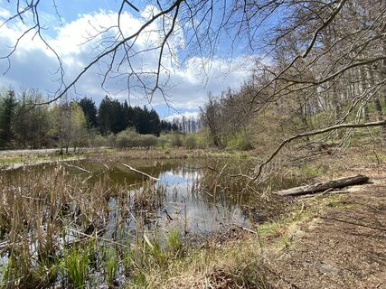 Rührsdorfer See