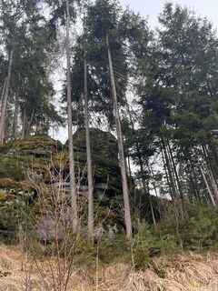 Foto de Elisazimmermann2007 a lo largo del recorrido