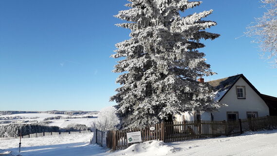 Ferienhaus Plessberg
