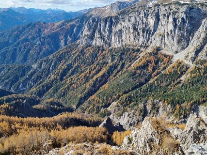 Foto da Espina lungo il tour