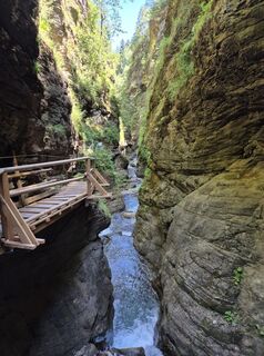 Photo de Dobber Willi le long du parcours