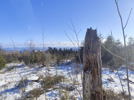 Photo de Edith K. le long du parcours