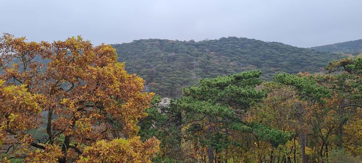 Foto da Tanjasusanna lungo il tour
