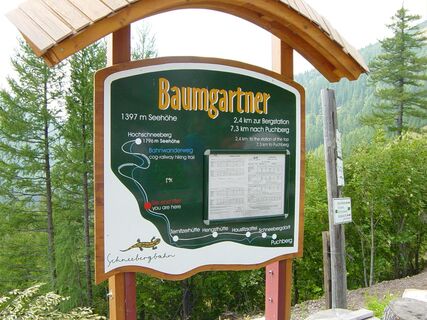 Baumgartner
