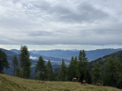 Fotografija s spletne strani Andreas na poti