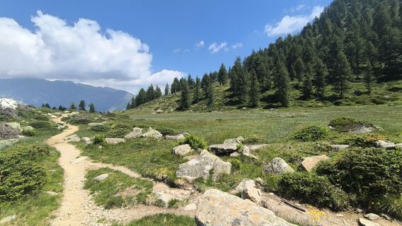Fotografija s spletne strani Roberto Branzanti na poti