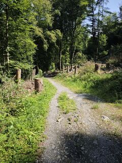 Foto de Björn Heun a lo largo del recorrido