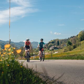 Radfahren am Großen Alpsee